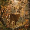 Deer - Full Round Diamond Painting 40*40cm