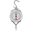 Fish Scales with 2 Hooks Mechanical Pointer Hook Scale Practical Handheld Scale