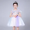 Flower Girl Lace Dress Pageant Kids Wedding Christmas Holiday Party Dresses