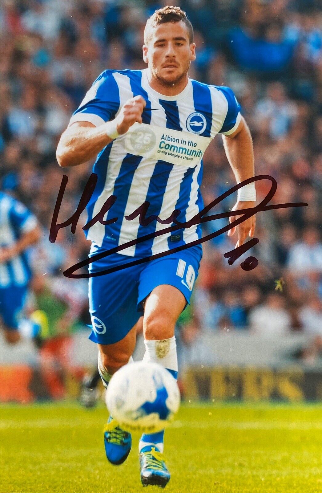 Tomer Hemed Hand Signed 6X4 Photo Poster painting - Brighton & Hove Albion