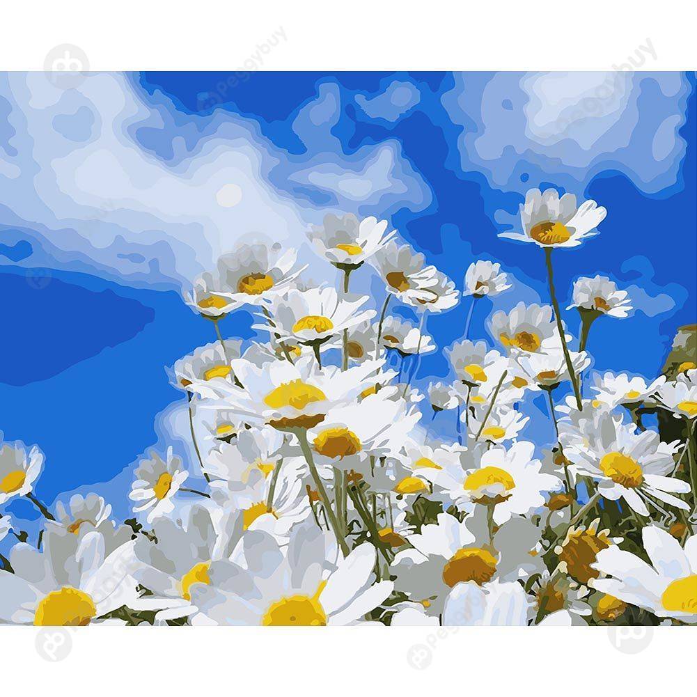 

40*50CM Paint By Numbers-Flower, 501 Original
