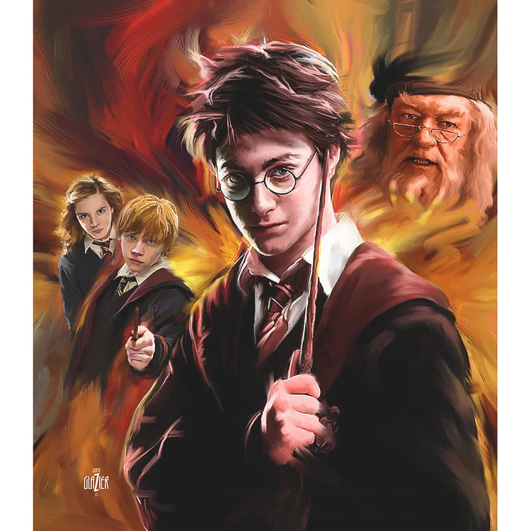 Harry Potter - Full Round 30*40CM