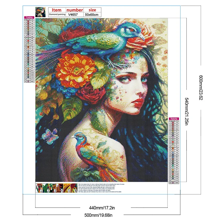 Full Round Drill Diamond Painting -Flower And Bird Painting Girl - 50*60cm