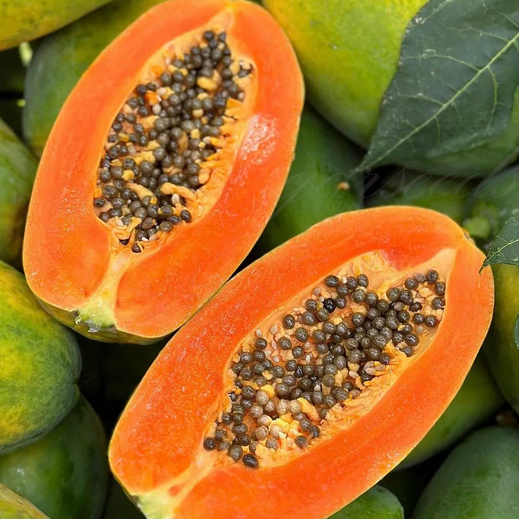 Papaya Seeds - Sweet Paradise 🍍