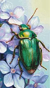 Luxury AB Velvet Diamond Painting Kit - Insect