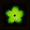 Whimsical LED Art Frame Night Light, Rechargeable Illuminated Decor