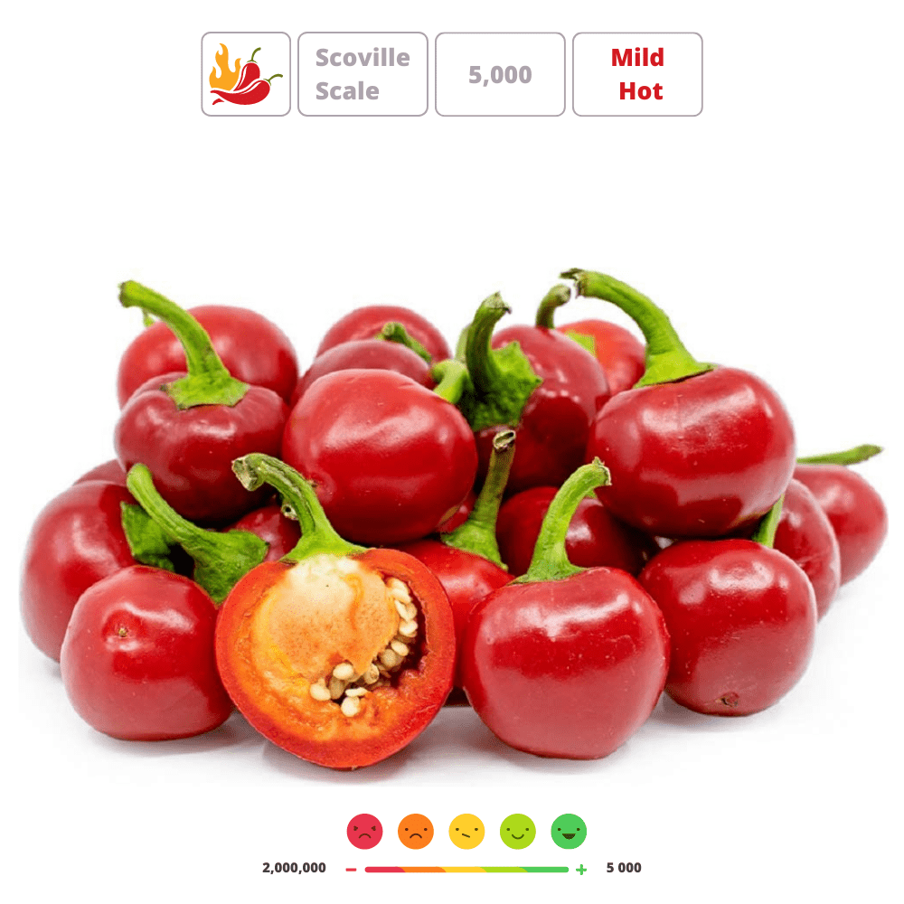 RED CHERRY SMALL' Hot Chilli Pepper Seeds