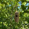 Wooden Hummingbird House-Gift for Nature Lovers-mysite-Adracos