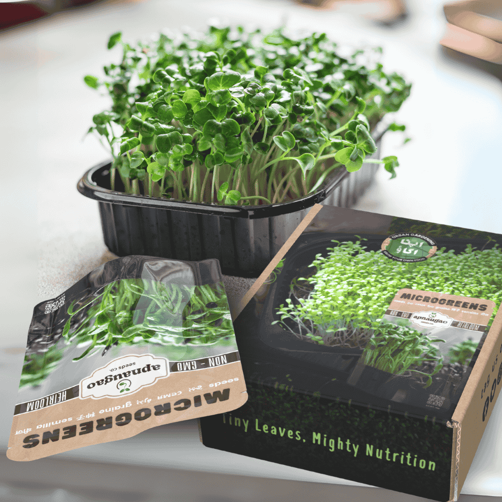 Microgreens Home Gardening Kit
