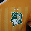 2022 Player Version Ivory Coast Home Football Shirt 1:1 Thai Quality