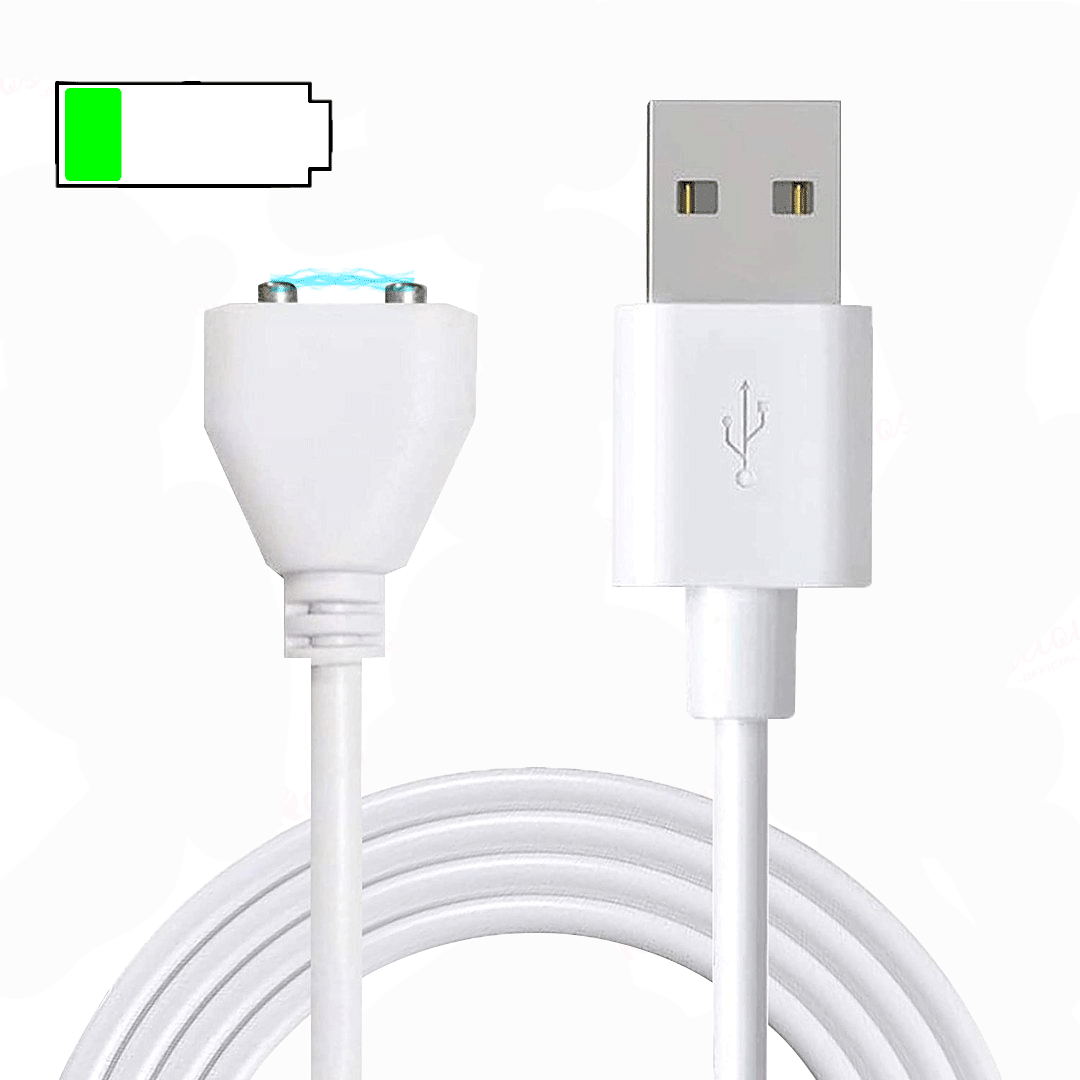 Rose Toy Magnetic Charging Cable – 2026 New Universal Replacement for Adult  Toys
