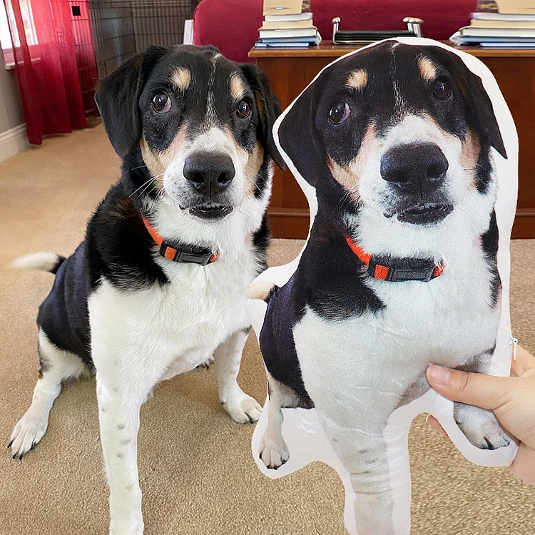 Custom Pet Photo Pillow