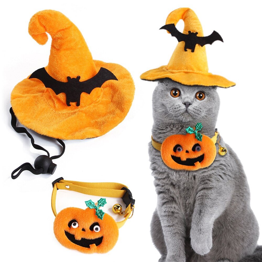 Cat Witch Hat Two Piece Pet Costume For Halloween-elleschic