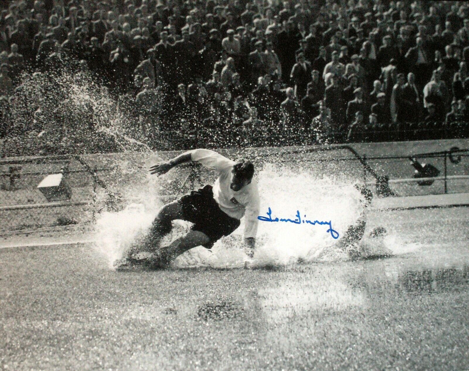 SIR TOM FINNEY SIGNED THE SPLASH