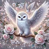 Owl And White Rose-11CT Stamped Cross Stitch 40*40cm