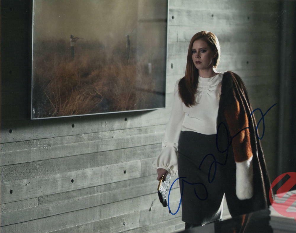 AMY ADAMS SIGNED AUTOGRAPH 11x14 Photo Poster painting - BEAUTIFUL, SEXY, NOCTURNAL ANIMALS