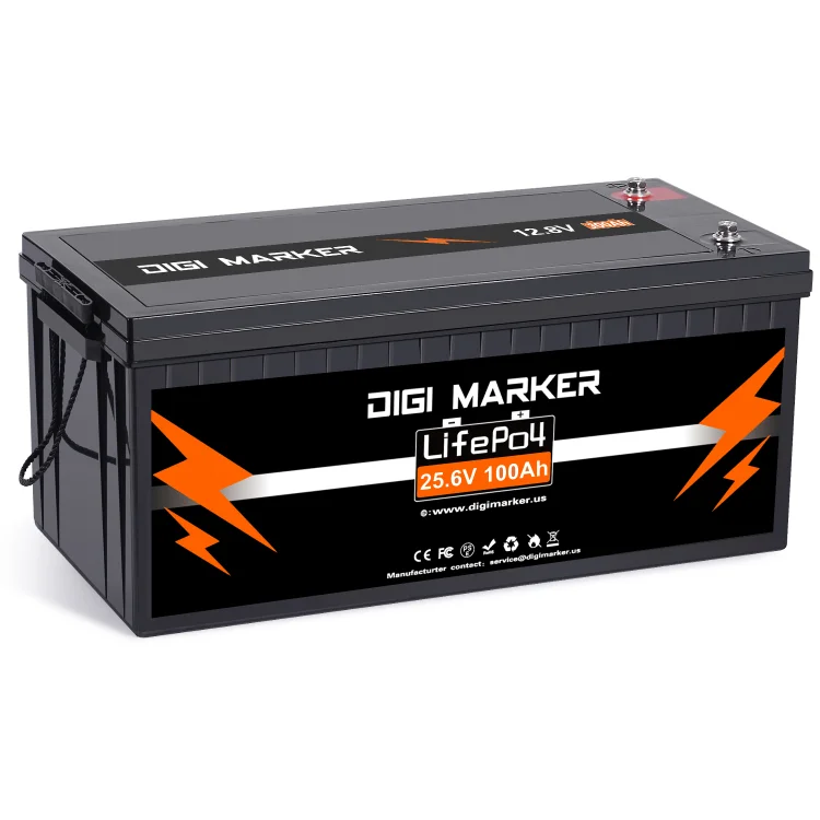 25.6V 100Ah LiFePO4 Battery 2560Wh - Digi Marker