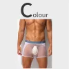 Men's Sexy Ultra-Thin Ice Silk Mesh-Panelled Transparent Boxer Briefs