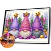 >SALE<5D DIY Partial Special Shaped Drill Diamond Painting Gnome Kit Home Decor40x50cm