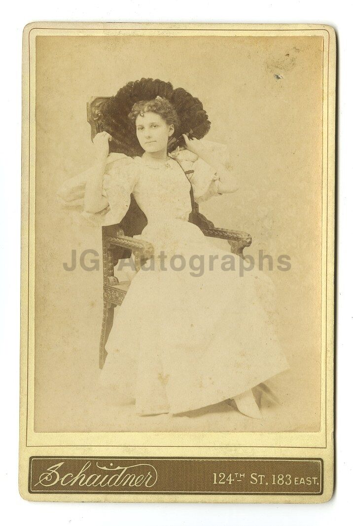 19th Century Fashion - 1800s Cabinet Card Photo Poster paintinggraph - Schaidner of New York