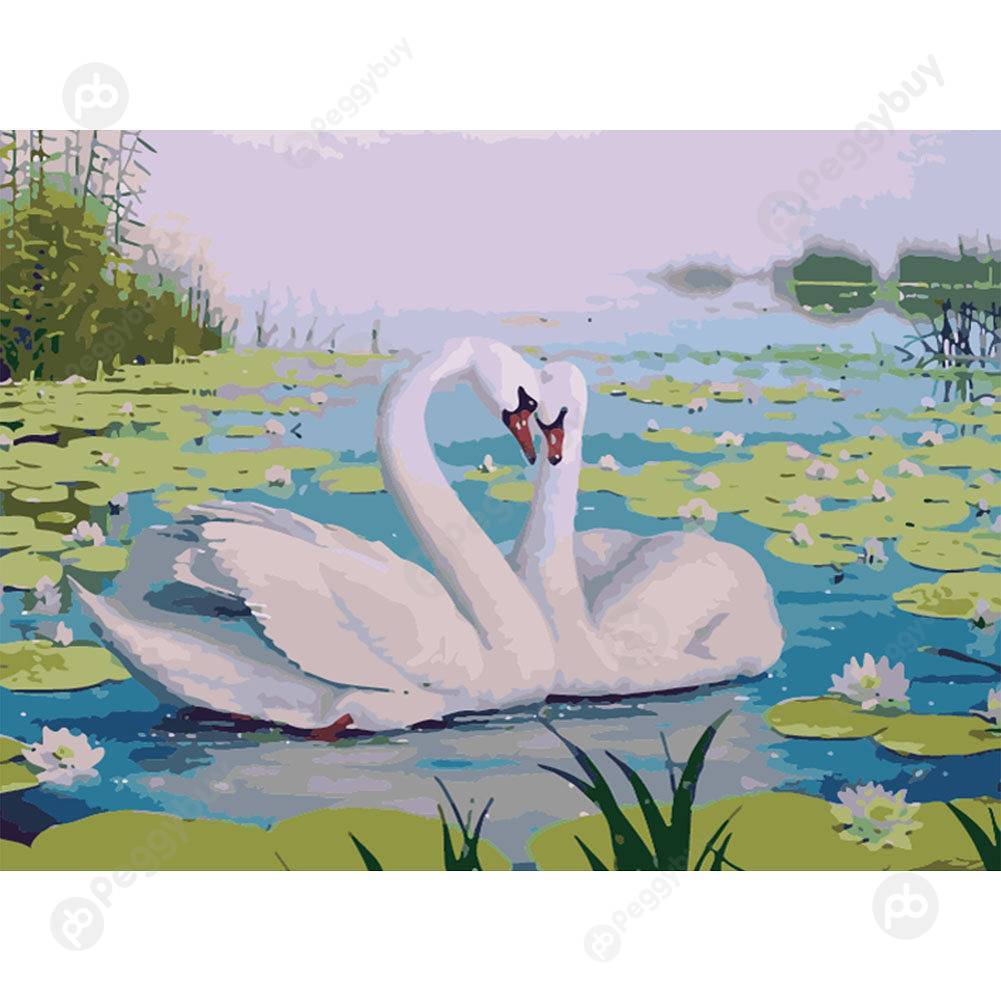 

40*50CM Paint By Numbers-Pair of Swans, 501 Original