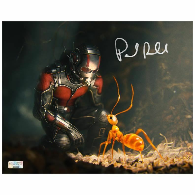 Paul Rudd Autographed Ant-Man 8×10 Scene Photo Poster painting