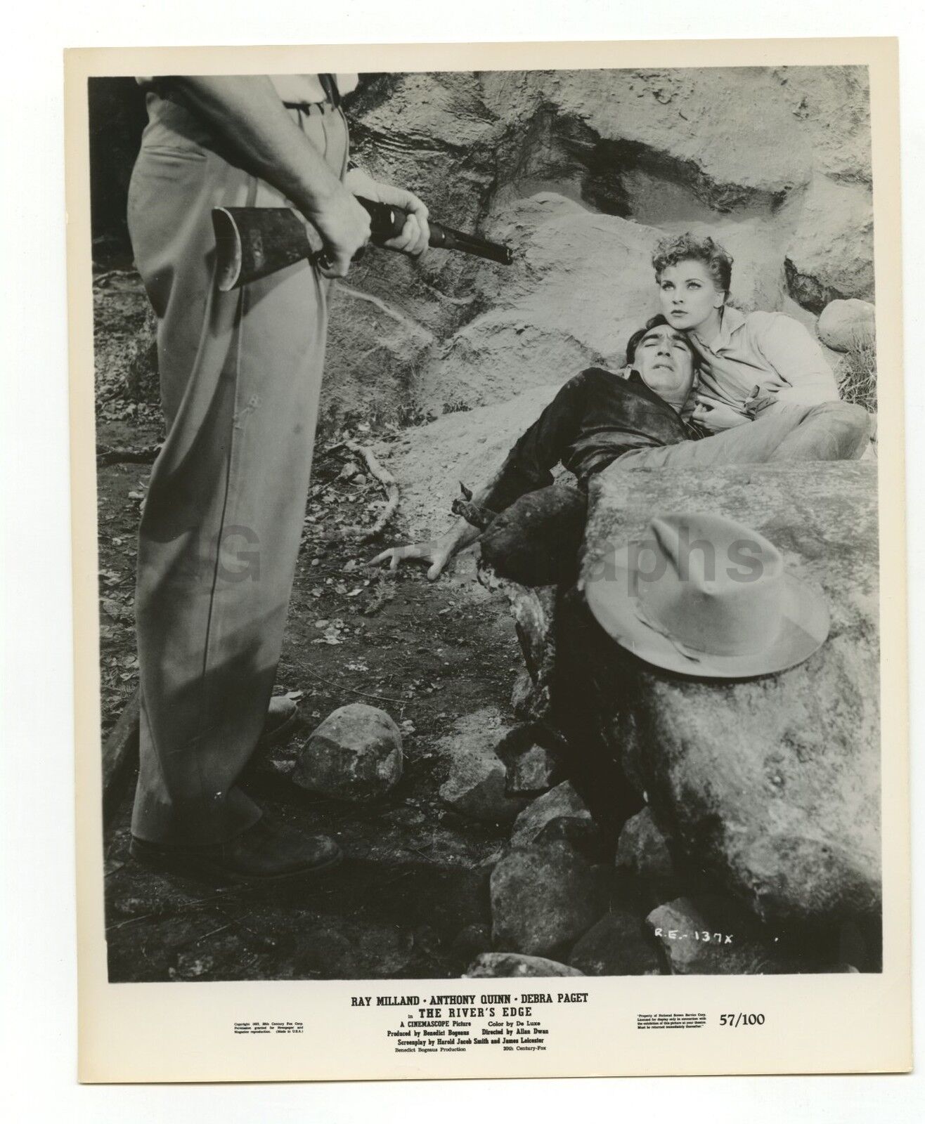 The River's Edge - Ray Milland - Anthony Quinn - Vintage 8x10 Photo Poster paintinggraph