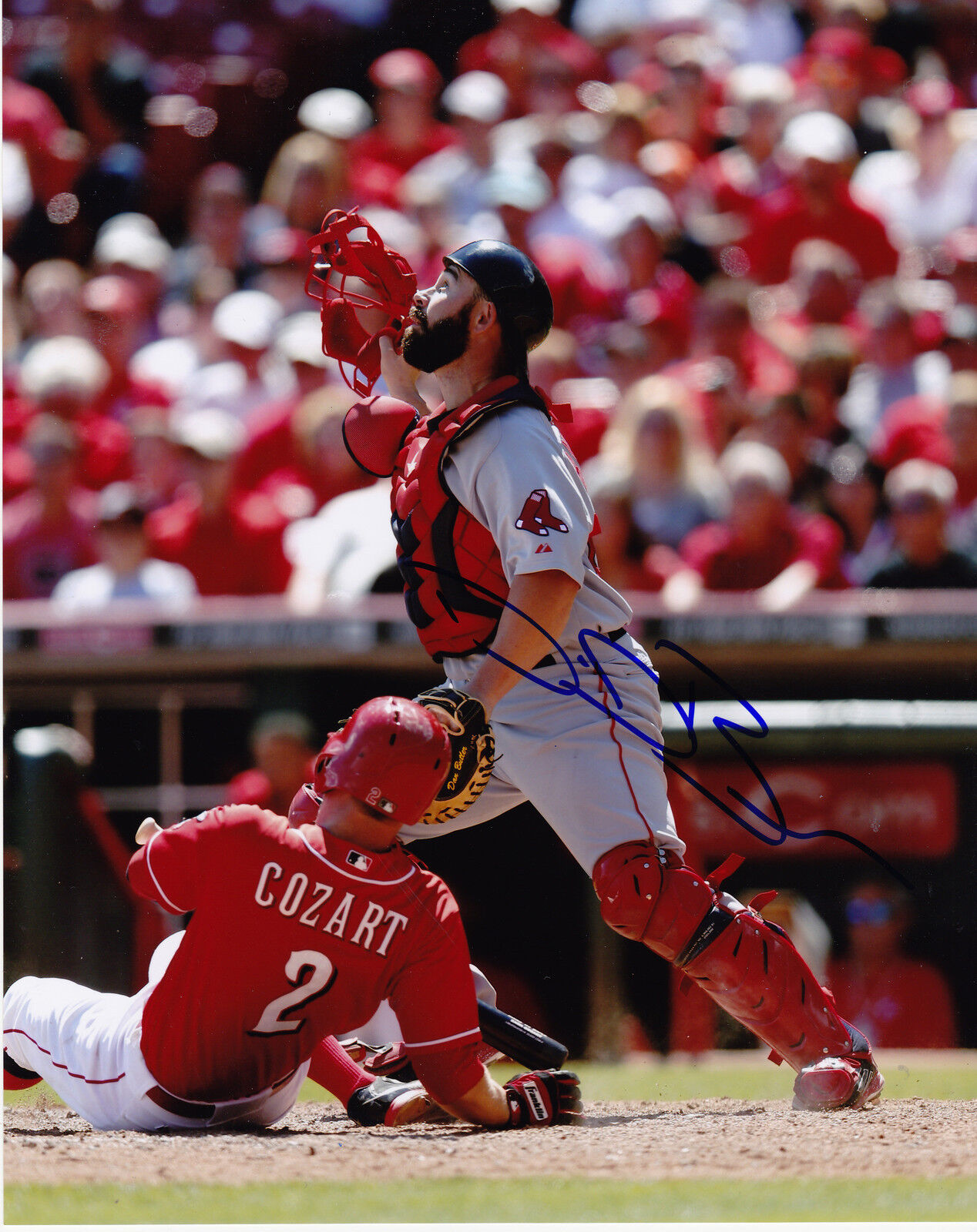 DAN BUTLER BOSTON RED SOX ACTION SIGNED 8x10