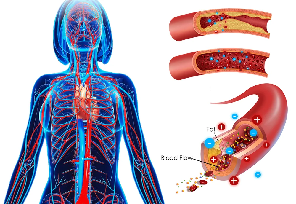 GFOUK&trade; IONSculpt Tourmaline Fiber Briefs