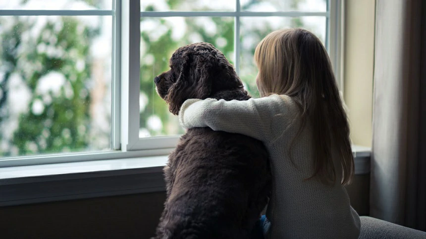 How to Cope with the Sudden Loss of a Pet: A Step-by-Step Healing Guide