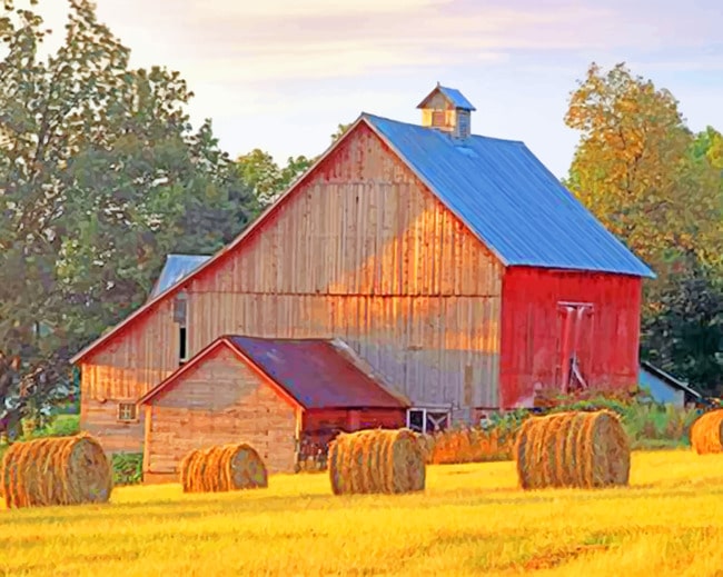 

Aesthetic Barn – Farms Paint By Numbers - 40*50CM, 501 Original