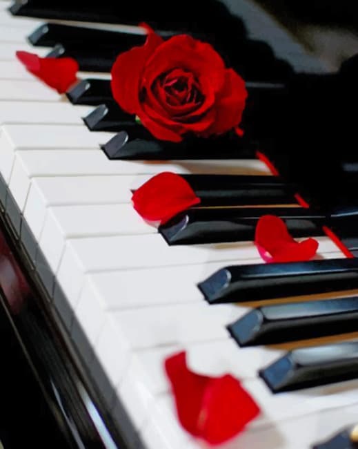 

Piano And Red Rose – Paint By Numbers - 40*50CM, 501 Original