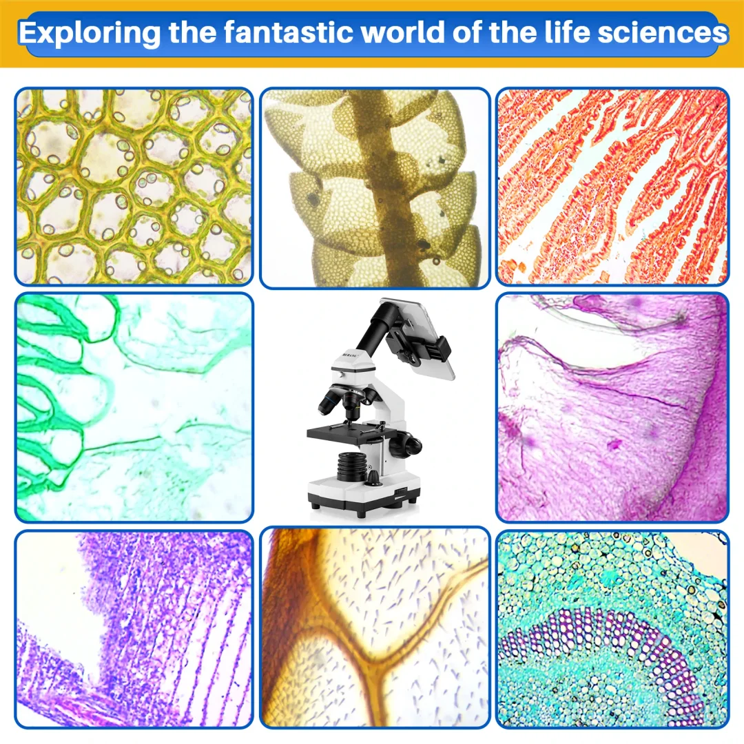 Microscope for Adults Kids, 100X-2000X BEBANG Compound Microscope with Microscope Slides, Microscope Kit for Kids Students Home School Lab