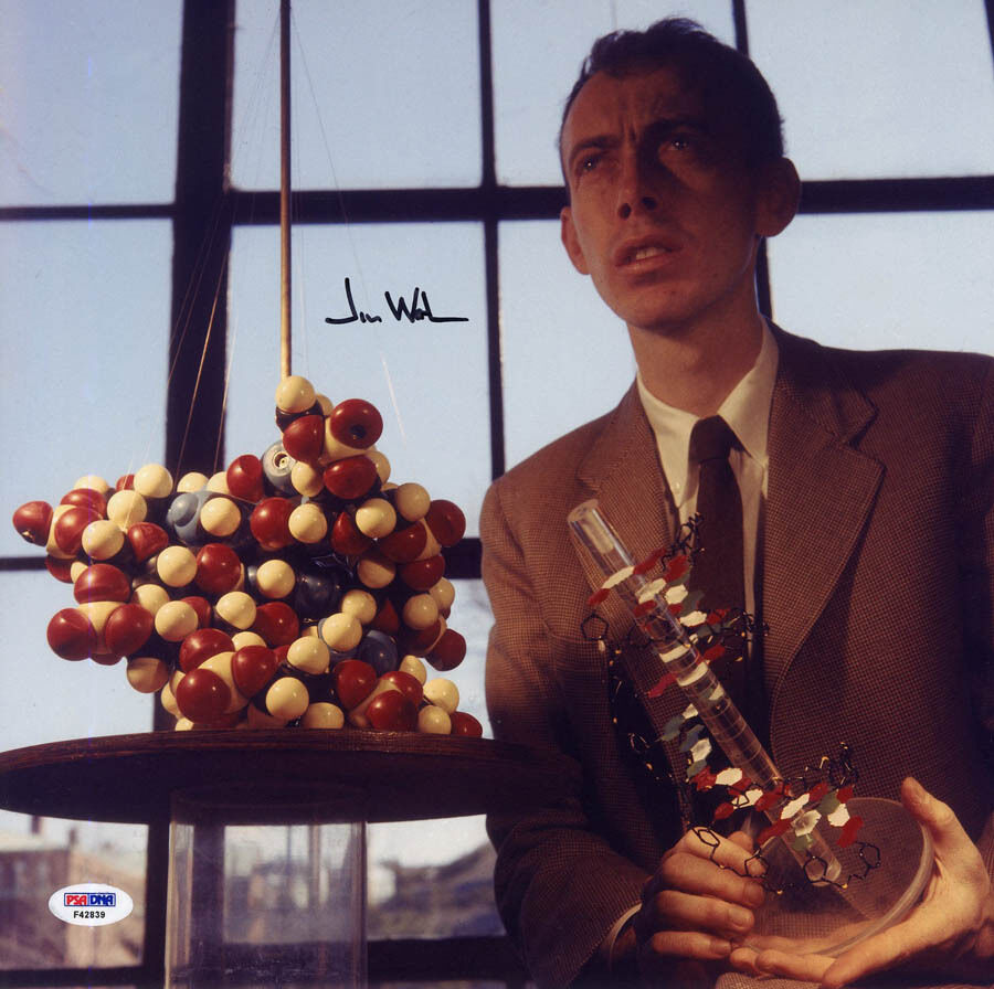 James D. Watson SIGNED 12x12 Photo Poster painting Double Helix FULL LETTER PSA/DNA AUTOGRAPHED