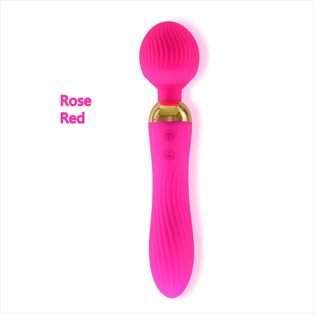 Magnetic Double Vibrator Rosetoy Official