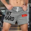  Hit Hard Gym Shorts - Premium Quality for Intense Workouts by Inlyline
