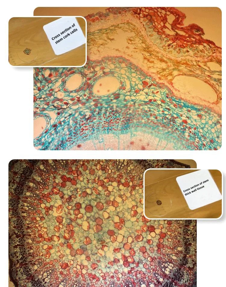 Suitable for iPhone12/13/14 mobile phone microscope lens 400X high-definition small mini micro microscope