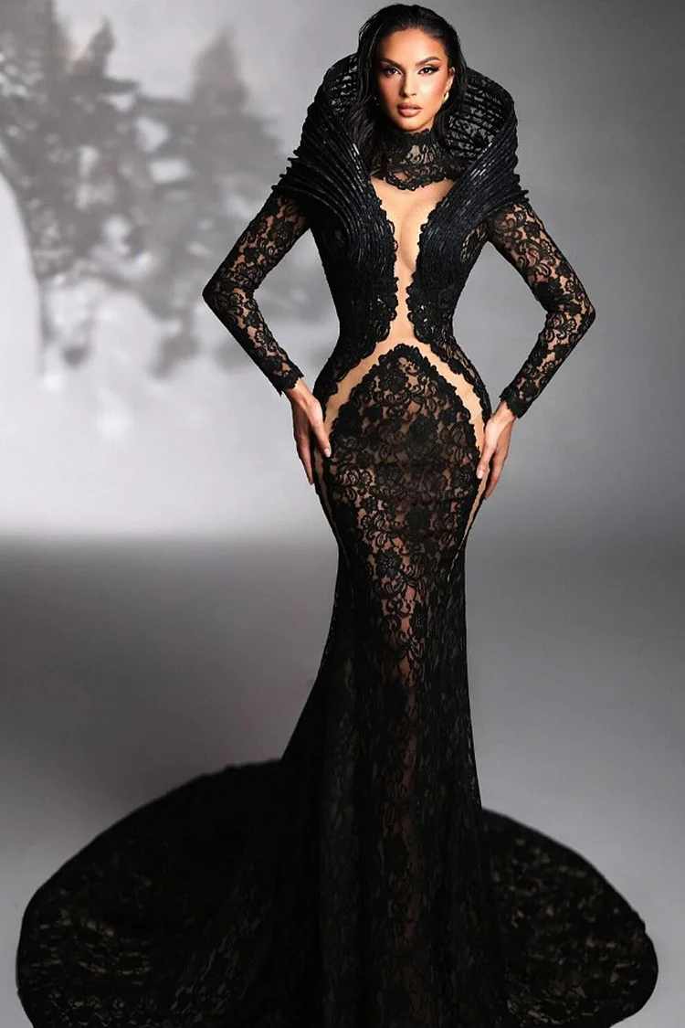 High Neck Lace Mesh Mermaid Maxi Dress-Black