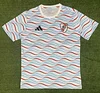 2024/2025 River Plate Training Wear Football Jersey 1:1 Thai Quality