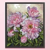 (Counted/Stamped)Peony Flower-14CT Cross Stitch 32*35cm/12.6*13.78in