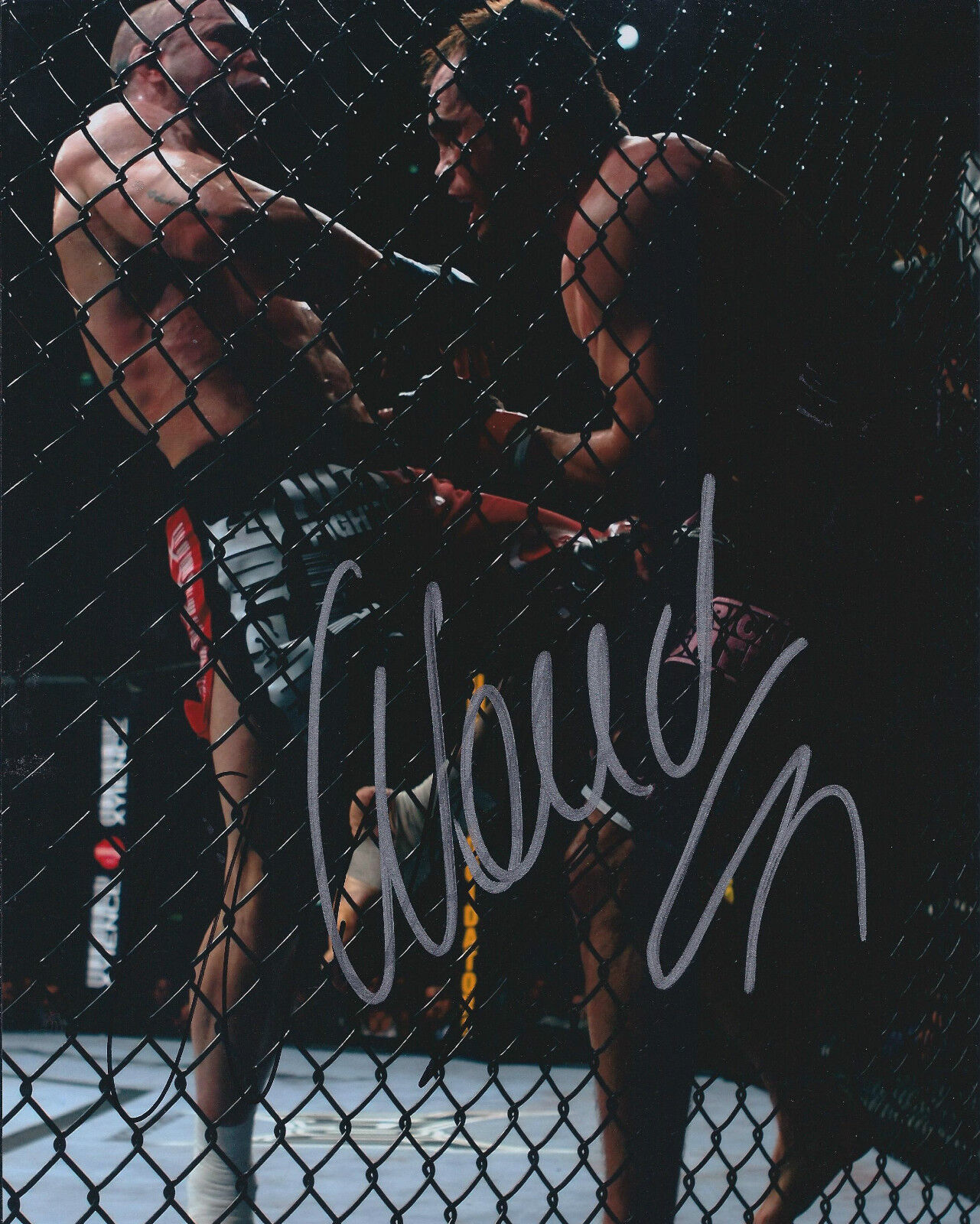 Wanderlei SILVA Signed 10x8 Autograph Photo Poster painting AFTAL COA MMA UFC Champion Fighter