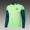 2024/2025 Palmeiras Half-Pull Training Suit Green Football Shirt 1:1 Thai Quality