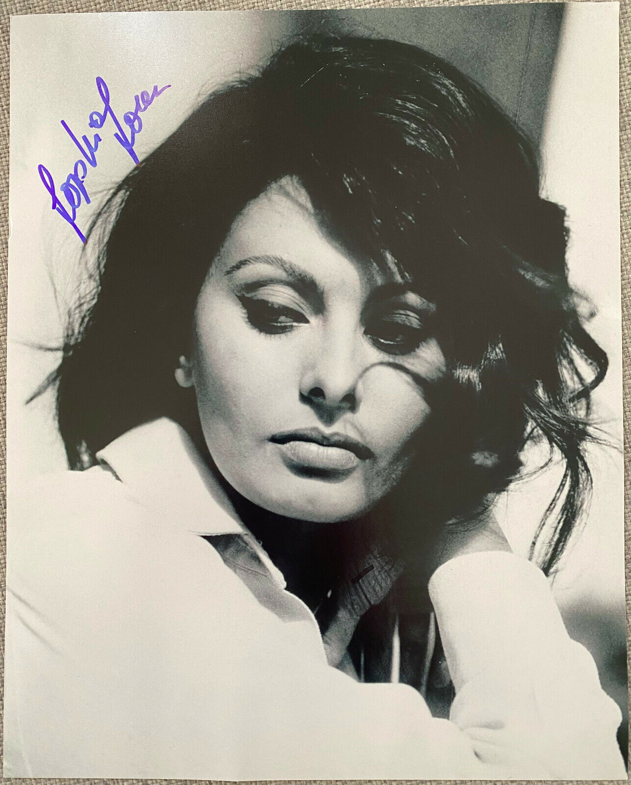 Italian Legend Sophia Loren Signed In-Person B&W 8x10 Photo Poster painting - RARE, AUTHENTIC