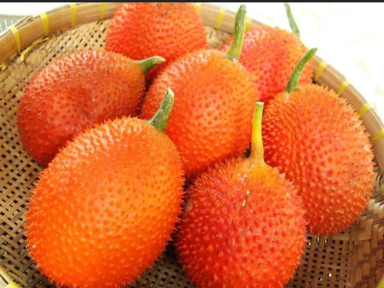 Gac fruit seeds, Gac Melon Vine Momordica Cochinchinensis seeds