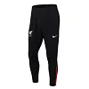 2024-2025 Liverpool Half-Pull Training Suit Green Jersey 1:1 Thai Quality Set