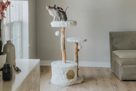 Alba cat furniture