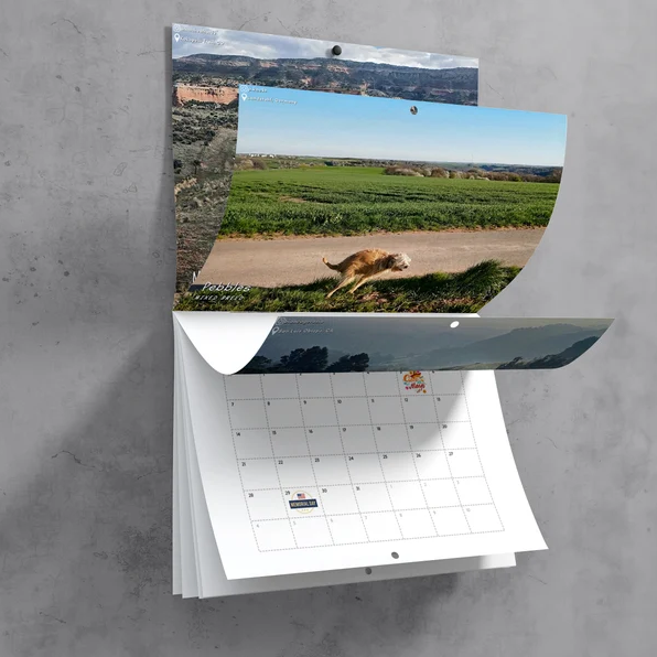 dogs-pooping-in-beautiful-places-2023-calendar