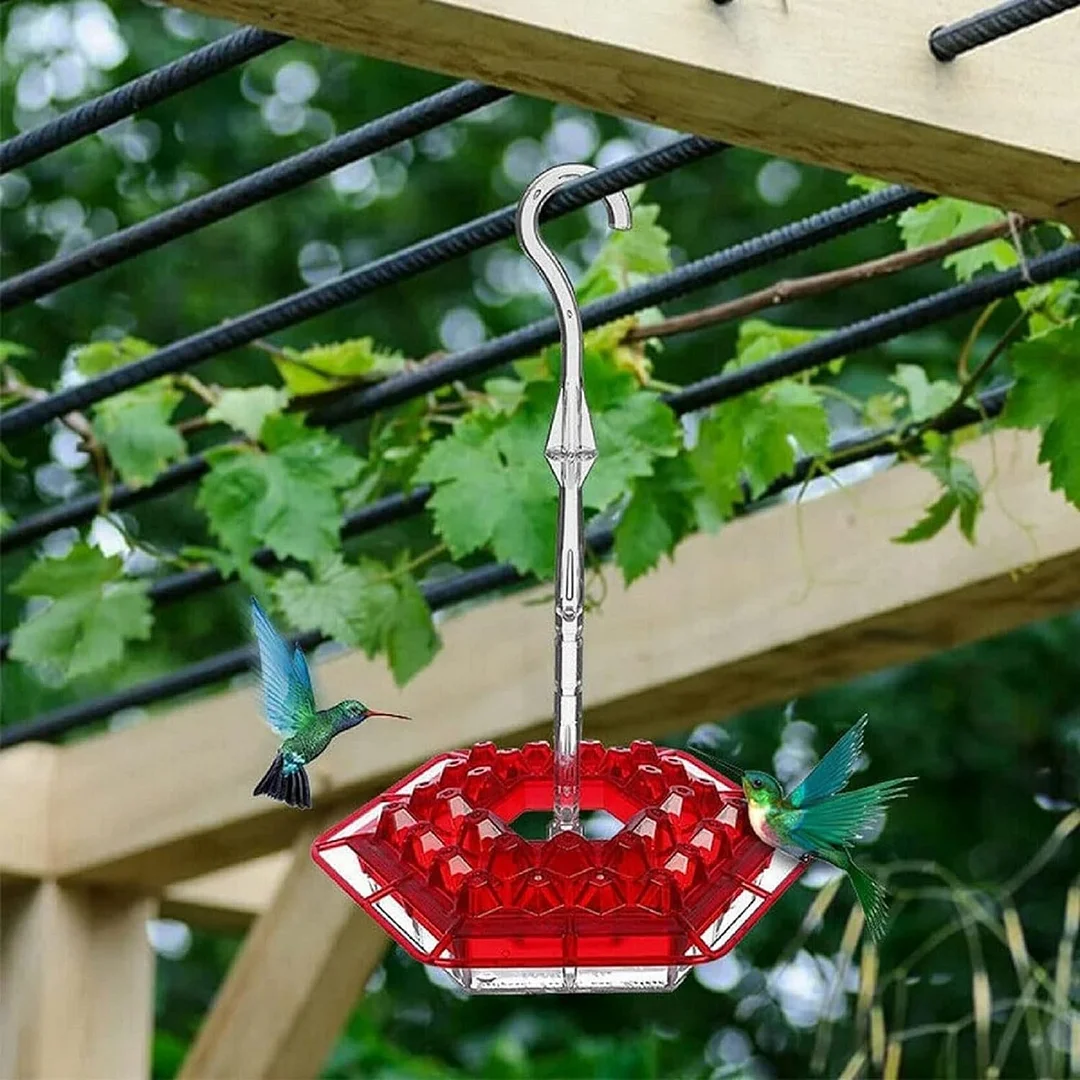 ✨LAST DAY SALE-60% OFF💥Hummingbird Feeders for Outdoors Hanging
