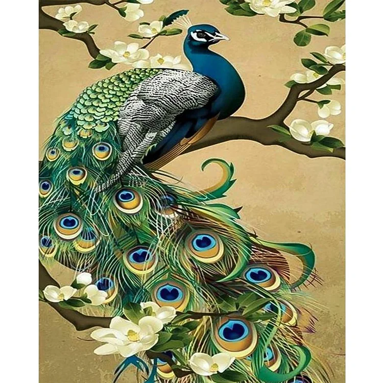 Peacock Peafowl - Full Round Drill Diamond Painting - 30x40cm(Canvas)