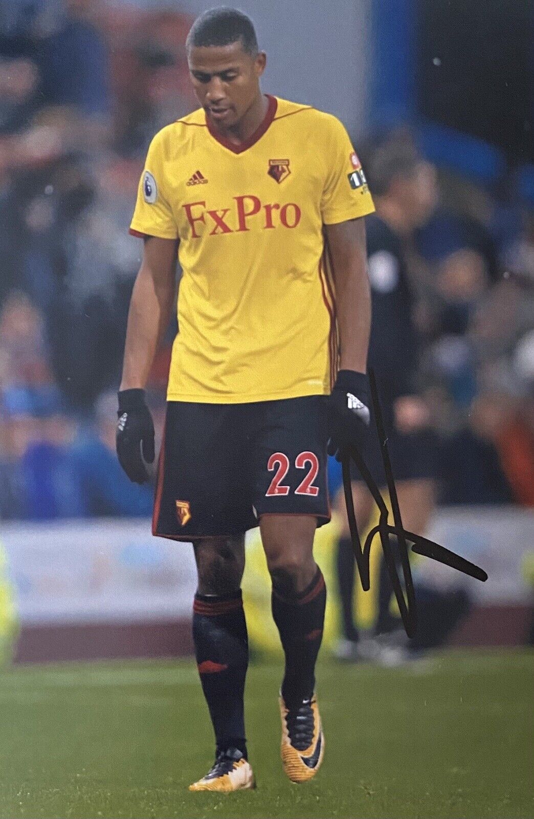 Marvin Zeegelaar Hand Signed Watford 6X4 Photo Poster painting